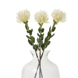 Wyld Haus Set Of 3 Artificial Flowers Cream Pincushion Protea Sprays - thumbnail 3