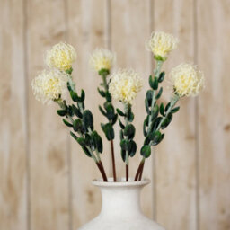 Wyld Haus Set Of 3 Artificial Flowers Cream Pincushion Protea Sprays - thumbnail 4