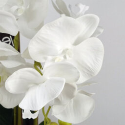 Leaf Artificial 60Cm Pure White Orchid With Ceramic Bubble Planter - thumbnail 2