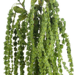 Hill Interiors Faux Amaranthus Green (1M) - thumbnail 3