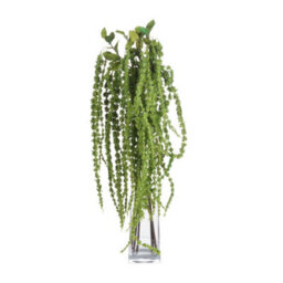 Hill Interiors Faux Amaranthus Green (1M)