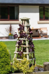 Zest Scafell Pike Obelisk Wooden Garden Plant Rose Flower Support By Zest Outdoor Living - thumbnail 6