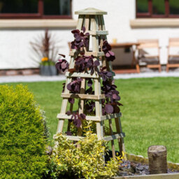 Zest Scafell Pike Obelisk Wooden Garden Plant Rose Flower Support By Zest Outdoor Living - thumbnail 5