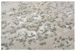 The Rugs Maestro Collection Vintage Design Rug In Cream  3118 Gg44 - thumbnail 3