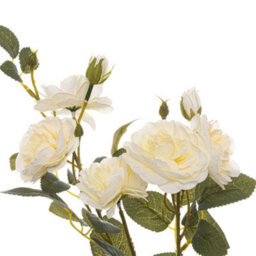 Wyld Haus Set Of 3 Soft White Cottage Rose Artificial Flower Stems, 53 Cm - thumbnail 2