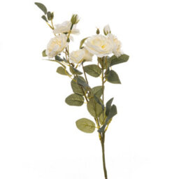 Wyld Haus Set Of 3 Soft White Cottage Rose Artificial Flower Stems, 53 Cm - thumbnail 1