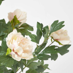 Homescapes Artificial Peach Handcrafted Peony Tree In Black Pot, 100 Cm - thumbnail 5