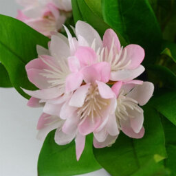 Leaf 3X 18Cm Artificial Freesia Plants Pink, White, Blue Flowering - thumbnail 4