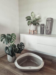 Cat Centre.Direct Cat Centre Large Corner Open Litter Tray With Detachable No-Spilling Rim Green - thumbnail 2