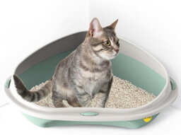 Cat Centre.Direct Cat Centre Large Corner Open Litter Tray With Detachable No-Spilling Rim Green