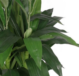 Leaf Artificial 100Cm Cymbidium Orchid Plant - Extra Large - Purple Flowers - thumbnail 3