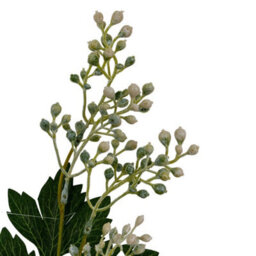 Hill Interiors Milk Thistle Bud Spray Artificial Flower - Plastic - L20 X W20 X H76 Cm - Green - thumbnail 3