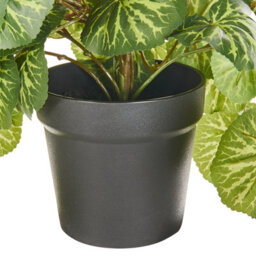 Beliani Artificial Hanging Potted Plant Strawberry Begonia 37 Cm Green - thumbnail 5