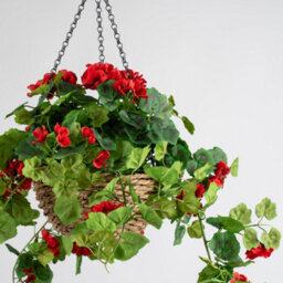 Scottish Everlastings Ltd. Scottish Everlastings Artificial 80Cm Red Geranium Hanging Basket - thumbnail 3