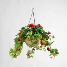 Scottish Everlastings Ltd. Scottish Everlastings Artificial 80Cm Red Geranium Hanging Basket - thumbnail 2