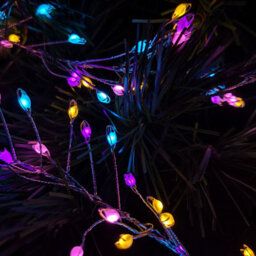 Samuel Alexander 800 Led 5.5M Premier Christmas Indoor Outdoor Wire Cluster Lights With Timer In Rainbow - thumbnail 5
