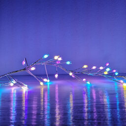 Samuel Alexander 800 Led 5.5M Premier Christmas Indoor Outdoor Wire Cluster Lights With Timer In Rainbow - thumbnail 4
