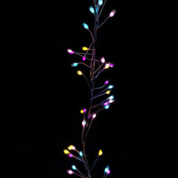 Samuel Alexander 800 Led 5.5M Premier Christmas Indoor Outdoor Wire Cluster Lights With Timer In Rainbow - thumbnail 3