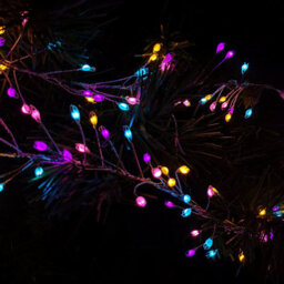 Samuel Alexander 800 Led 5.5M Premier Christmas Indoor Outdoor Wire Cluster Lights With Timer In Rainbow - thumbnail 2