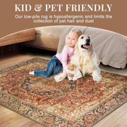 Ameha Majestic Cashmere Non Slip Area Rug 120 X 170 Cm Rugs Living Room Modern Bedroom Super Soft Carpets - thumbnail 9