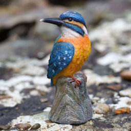 Burgess Kingfisher Resin Statue Home Garden British Bird Sculpture Outdoor Ornament Robin Decoration Birdwatching Gift - thumbnail 1
