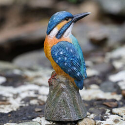 Burgess Kingfisher Resin Statue Home Garden British Bird Sculpture Outdoor Ornament Robin Decoration Birdwatching Gift - thumbnail 4