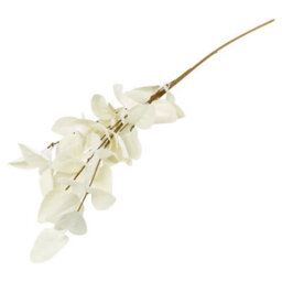Urbn-Living Urbnliving - Bow Shaped Glass Vase - thumbnail 6