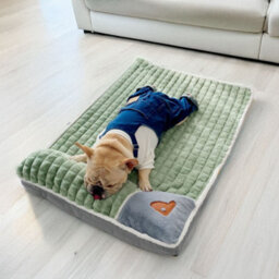 Thehotsale M-Size Washable Pet Bed Soft Mattress Sleeping Cushion Mat For Puppy Cat In Green - thumbnail 2