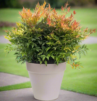 Garden Store Direct Urban Jungle Round Plant Pots - Indoor Or Outdoor - 38Cm Warm Grey - image 1