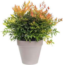 Garden Store Direct Urban Jungle Round Plant Pots - Indoor Or Outdoor - 38Cm Warm Grey - thumbnail 2