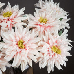 Hill Interiors Uk Homeliving Lush Pink Dahlia - thumbnail 2