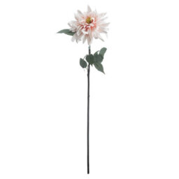 Hill Interiors Uk Homeliving Lush Pink Dahlia - thumbnail 4