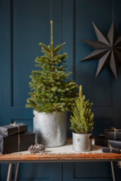 Ivyline Indoor Planter With Star In Galvanised Steel H28Cm W28Cm - thumbnail 5