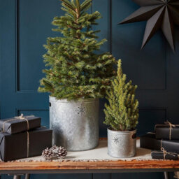 Ivyline Indoor Planter With Star In Galvanised Steel H28Cm W28Cm - thumbnail 4