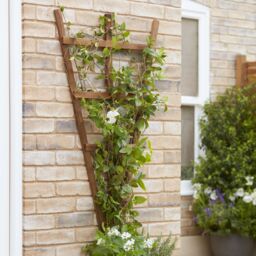 Forest Garden 4Ft Fan Timber Trellis Panel (W)68Cm X (H)120Cm - thumbnail 2