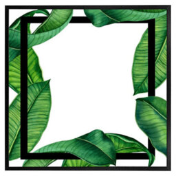"Andrew Lee Botanical & Black Border (Picutre Frame) / 24X24"" / Oak" - thumbnail 6