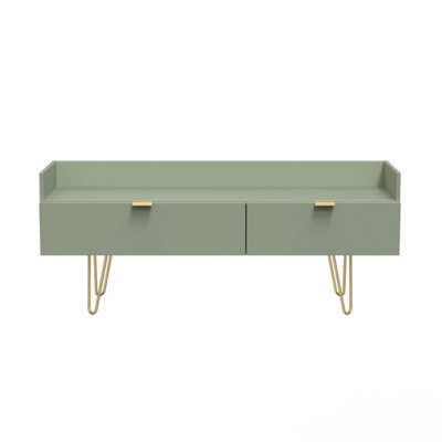 Fuji 2 Drawer Tv Unit In Reed Green (Ready Assembled) - image 1