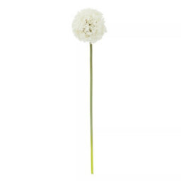 Orsina Fiori 72Cm Allium Stem Ivory Flower Artificial Plant Foliage - thumbnail 1
