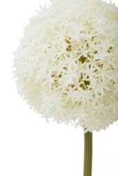 Orsina Fiori 72Cm Allium Stem Ivory Flower Artificial Plant Foliage - thumbnail 8