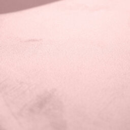 Bravich Ron Velvet Dining Chair - Pink - thumbnail 9