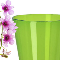 B2C Plant Orchid Pot Plastic  Gloss Oval Planter 12 Cm Green Transparent Round - thumbnail 2