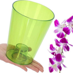 B2C Plant Orchid Pot Plastic  Gloss Oval Planter 12 Cm Green Transparent Round