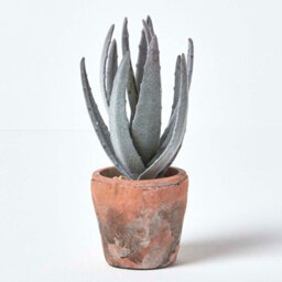 Homescapes Artificial Green Handcrafted Aloe Vera Succulent In Decorative Rustic Terracotta Pot, 21 Cm - thumbnail 1