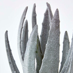 Homescapes Artificial Green Handcrafted Aloe Vera Succulent In Decorative Rustic Terracotta Pot, 21 Cm - thumbnail 5