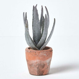 Homescapes Artificial Green Handcrafted Aloe Vera Succulent In Decorative Rustic Terracotta Pot, 21 Cm - thumbnail 6