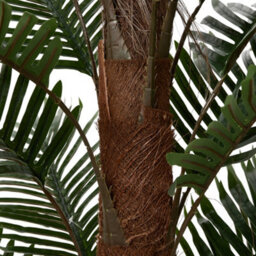 Thehotsale 120Cm Artificial Tropical Palm Tree Potted Plant For Indoor Decoration - thumbnail 7