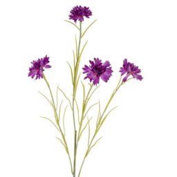 Hill Interiors Cornflower Stem Artificial Flower - Plastic - L20 X W20 X H77 Cm - Purple - thumbnail 2