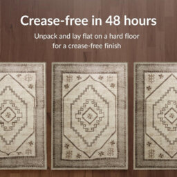 Imperial Rooms Homeware Soft Pile Small Rug Living Room Rugs Anti Slip Doormat Rug Kitchen Rugs Radiant 40X60Cm - thumbnail 4