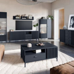Furniture To Go Lusaka Display Cabinet 2 Door In Black Graphite - thumbnail 5