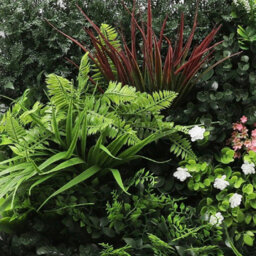 True Products Combo Set Of 3 Premium Artificial Green Plant Living Wall Panels 1M X 50Cm - Florence A,b,c - thumbnail 4